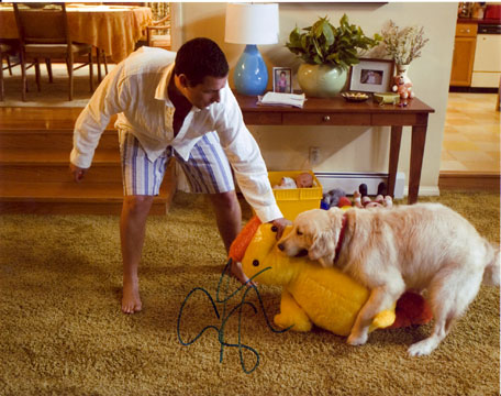 Adam Sandler in-person autographed photo