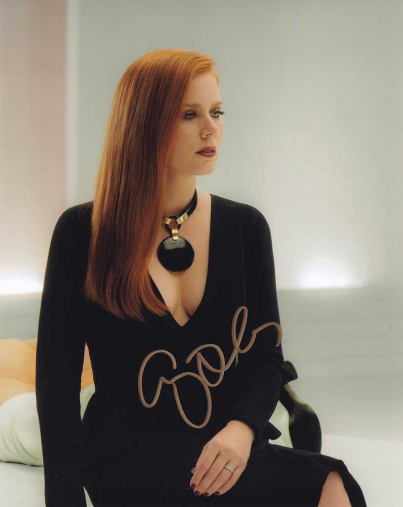 Amy Adams in-person autographed photo