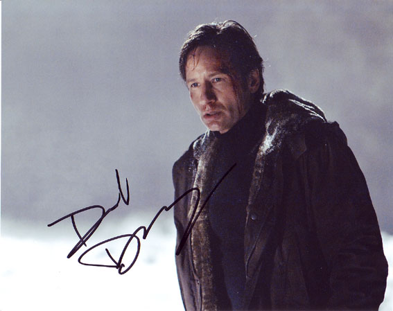 David Duchovny in-person autographed photo