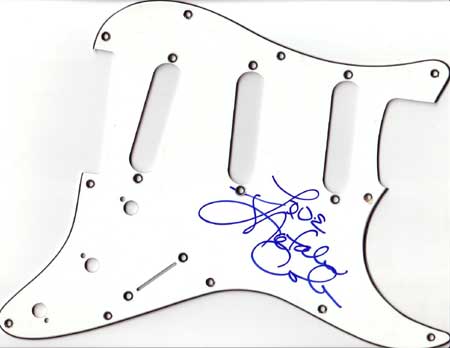 Natalie Cole in-person autographed Pick Guard