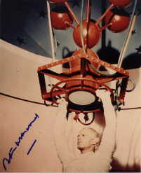 Peter Hinwood in-person autographed photo