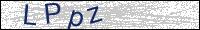 Verify Security Code