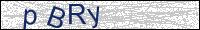 Verify Security Code