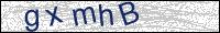 Verify Security Code