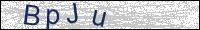 Verify Security Code