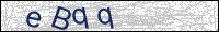 Verify Security Code