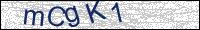 Verify Security Code