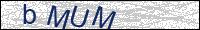 Verify Security Code