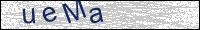 Verify Security Code