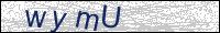 Verify Security Code