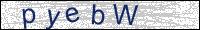Verify Security Code