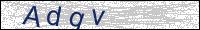 Verify Security Code