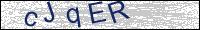 Verify Security Code