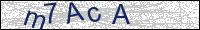 Verify Security Code