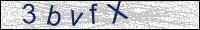 Verify Security Code
