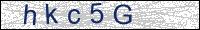 Verify Security Code