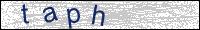 Verify Security Code