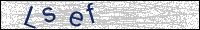 Verify Security Code