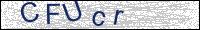 Verify Security Code