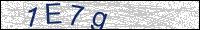 Verify Security Code