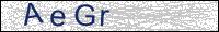 Verify Security Code