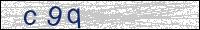 Verify Security Code