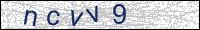 Verify Security Code