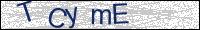 Verify Security Code