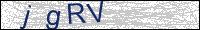 Verify Security Code