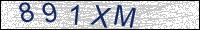 Verify Security Code