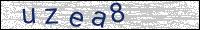 Verify Security Code