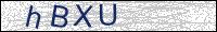 Verify Security Code