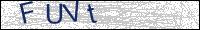 Verify Security Code