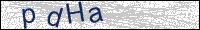 Verify Security Code