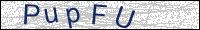 Verify Security Code