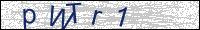 Verify Security Code