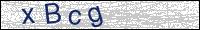 Verify Security Code