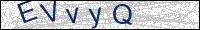 Verify Security Code