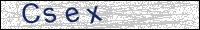 Verify Security Code