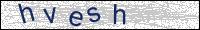 Verify Security Code